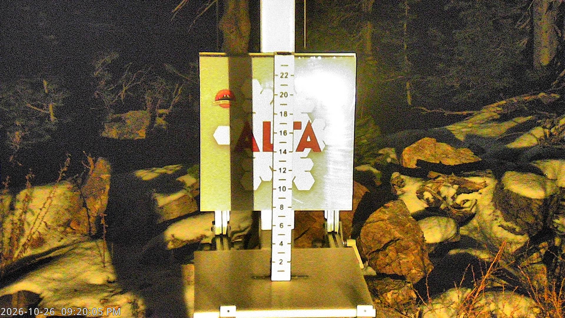 Alta Collins Snow Stake
