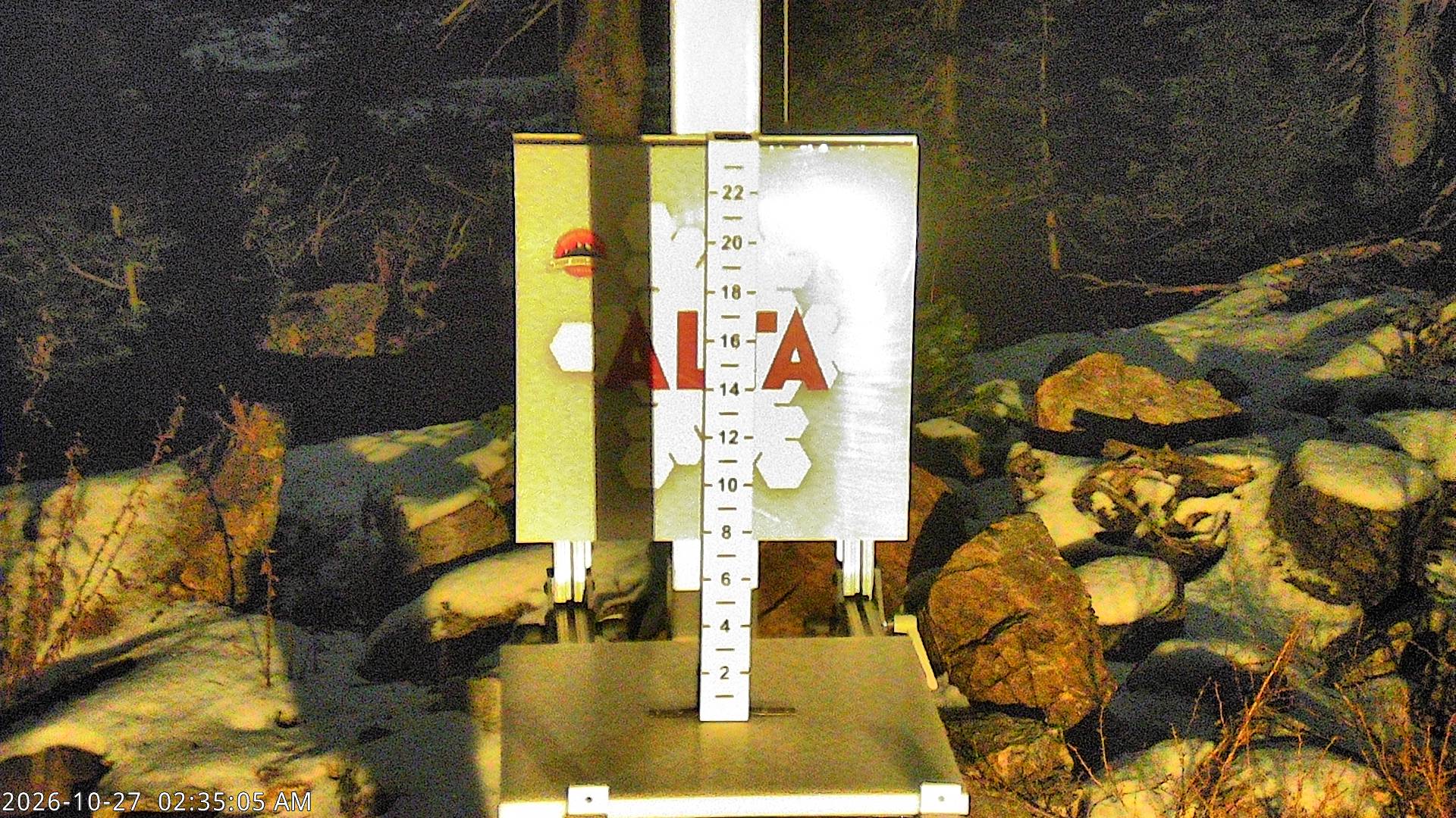 Alta Collins Snow Stake