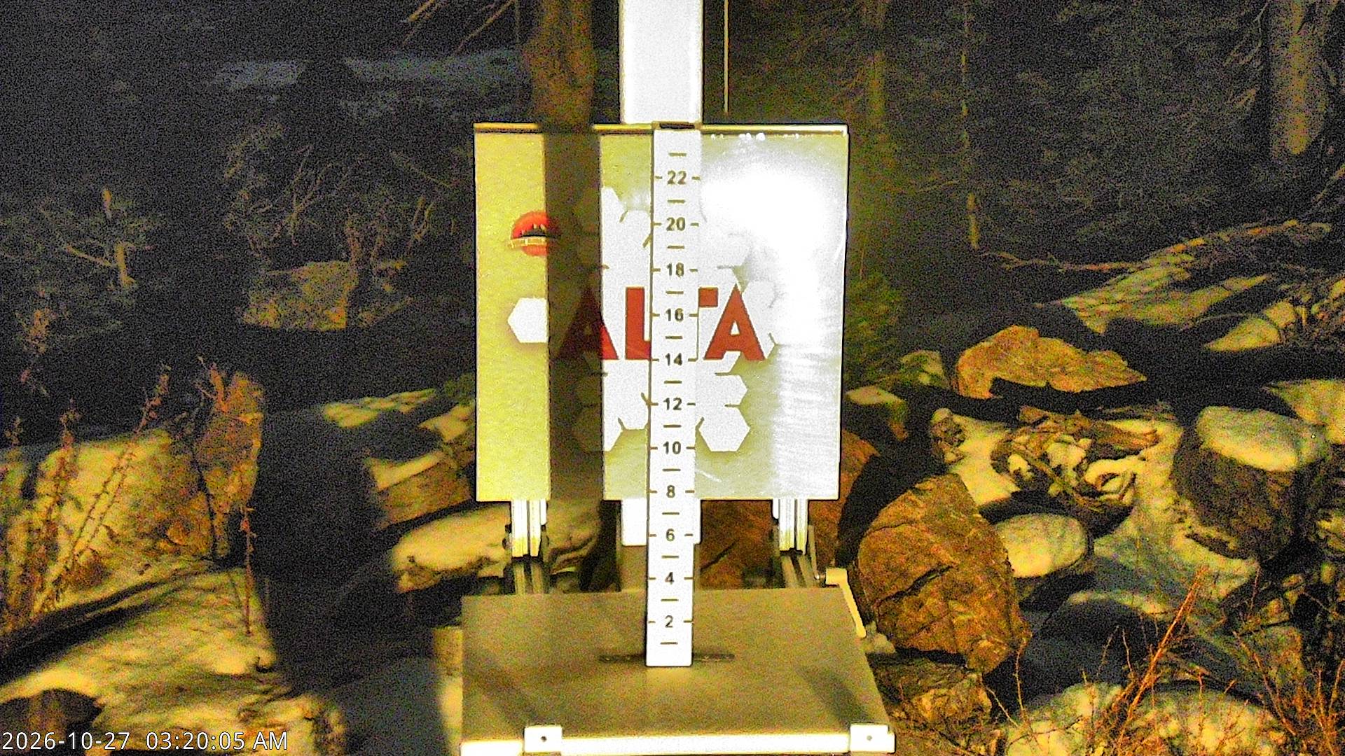 Alta Collins Snow Stake