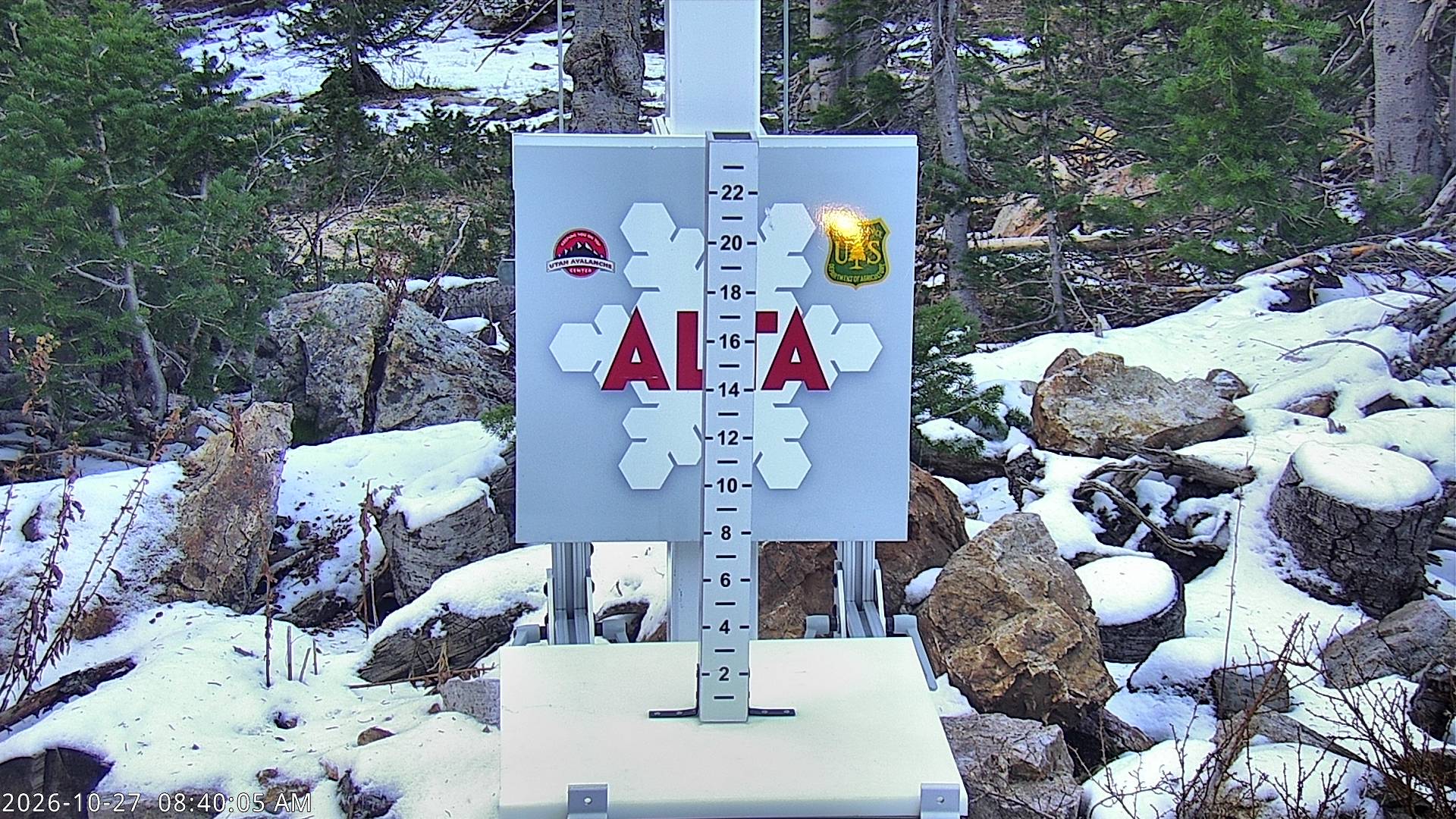 Alta Collins Snow Stake