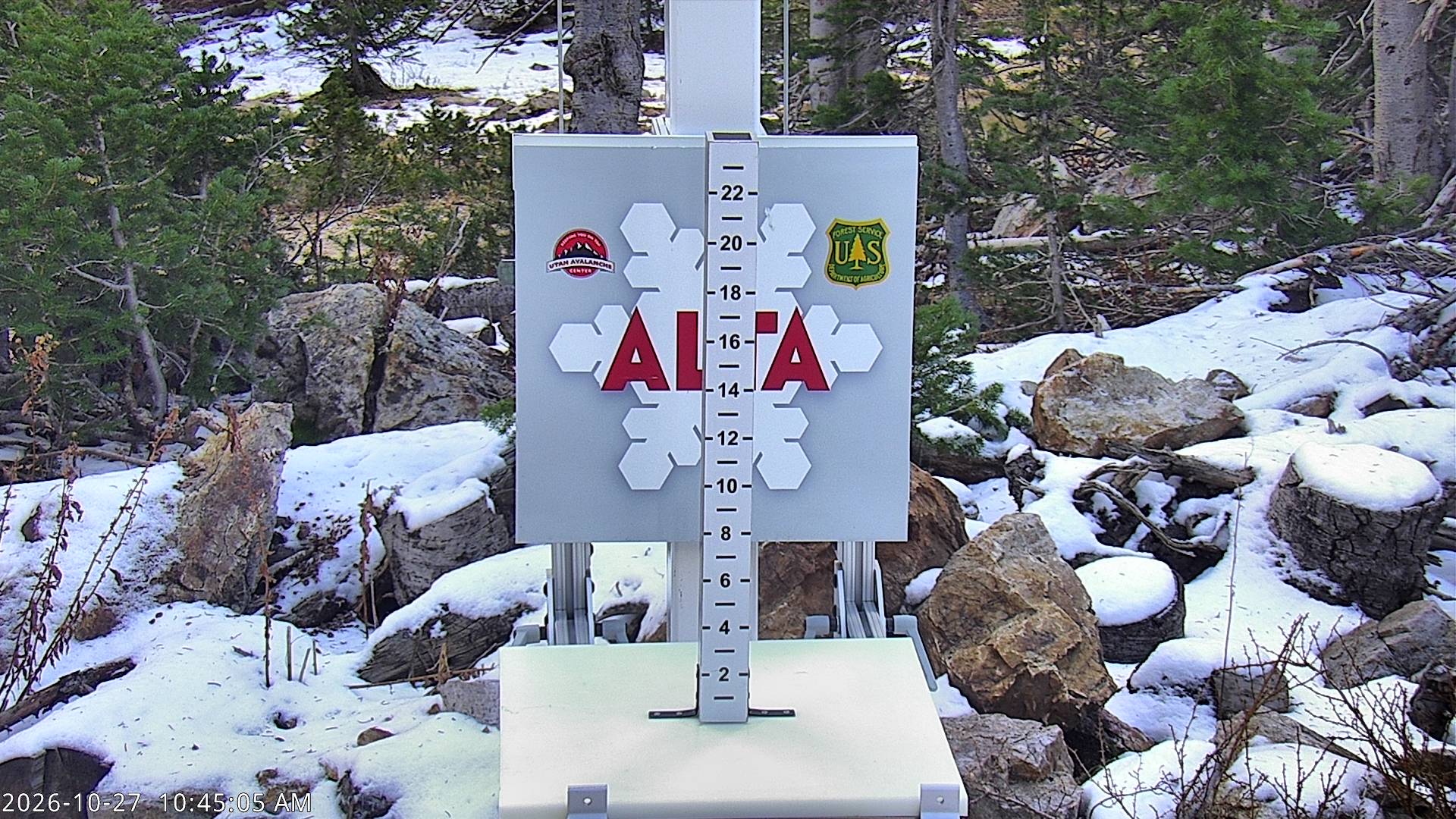 Alta Collins Snow Stake