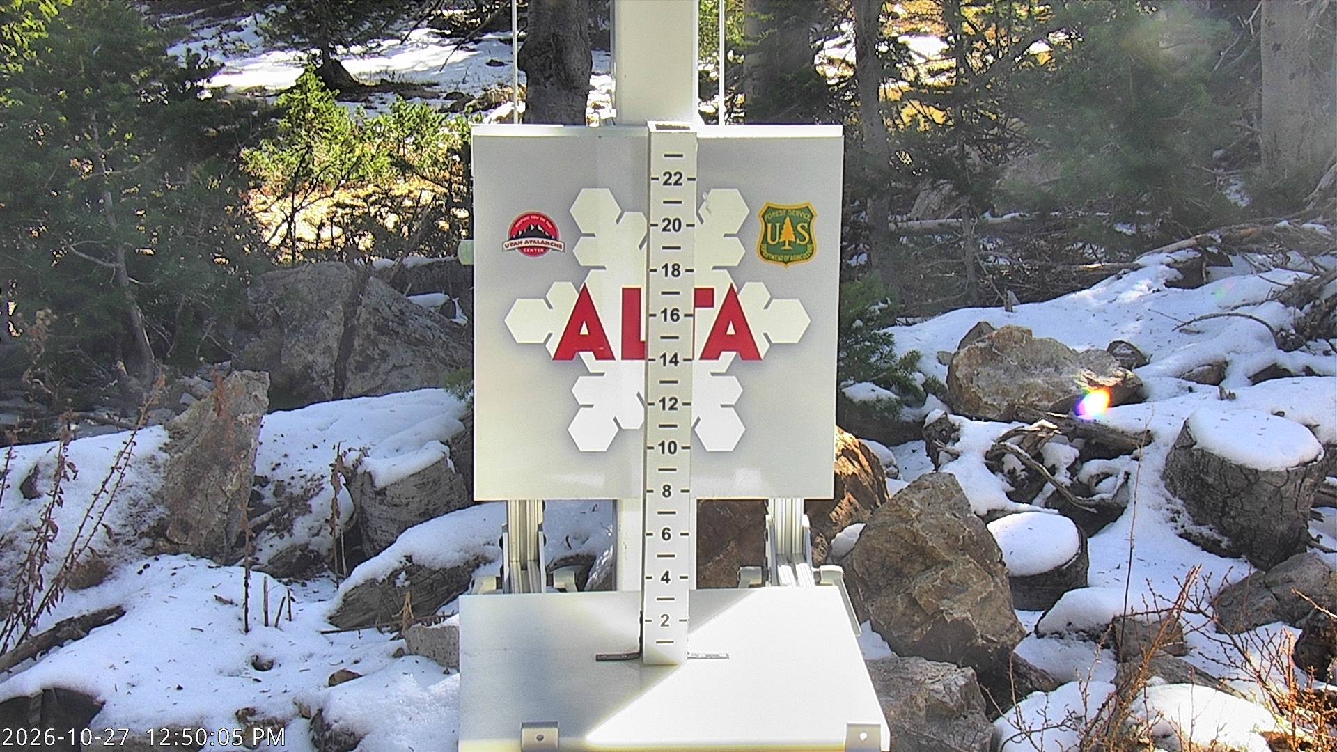 Alta Collins Snow Stake