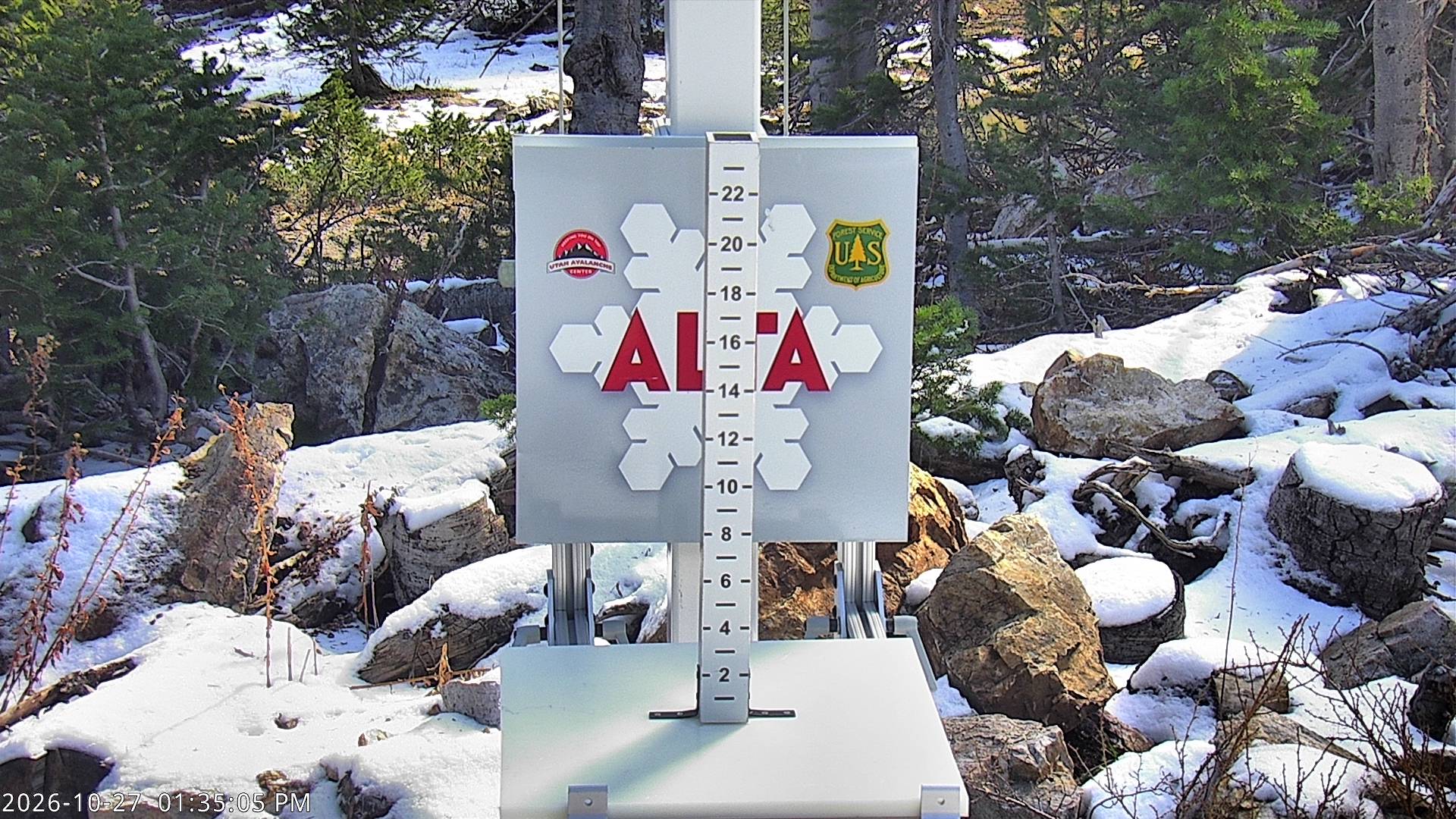 Alta Collins Snow Stake