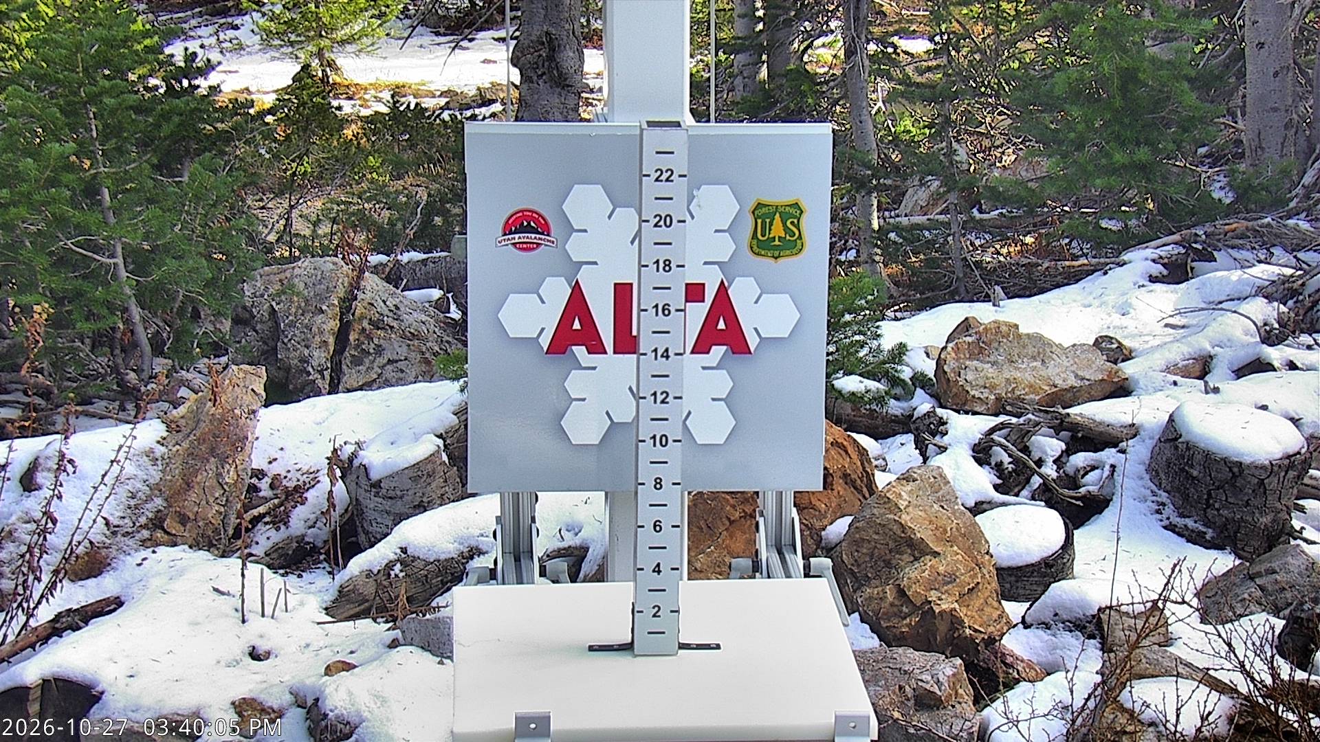 Alta Collins Snow Stake