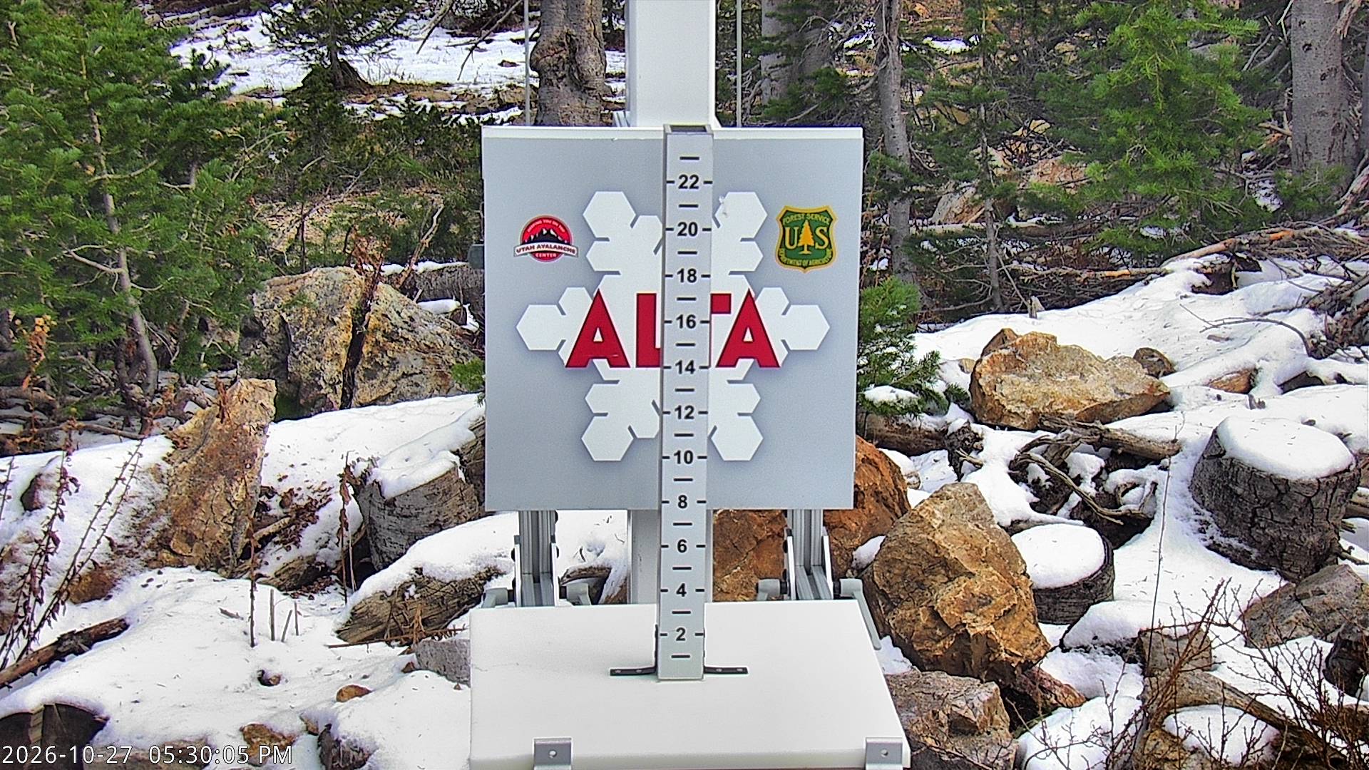 Alta Collins Snow Stake