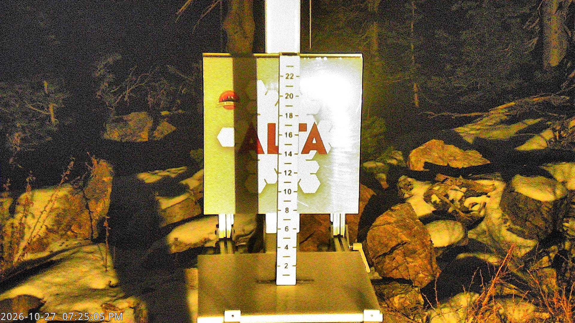 Alta Collins Snow Stake