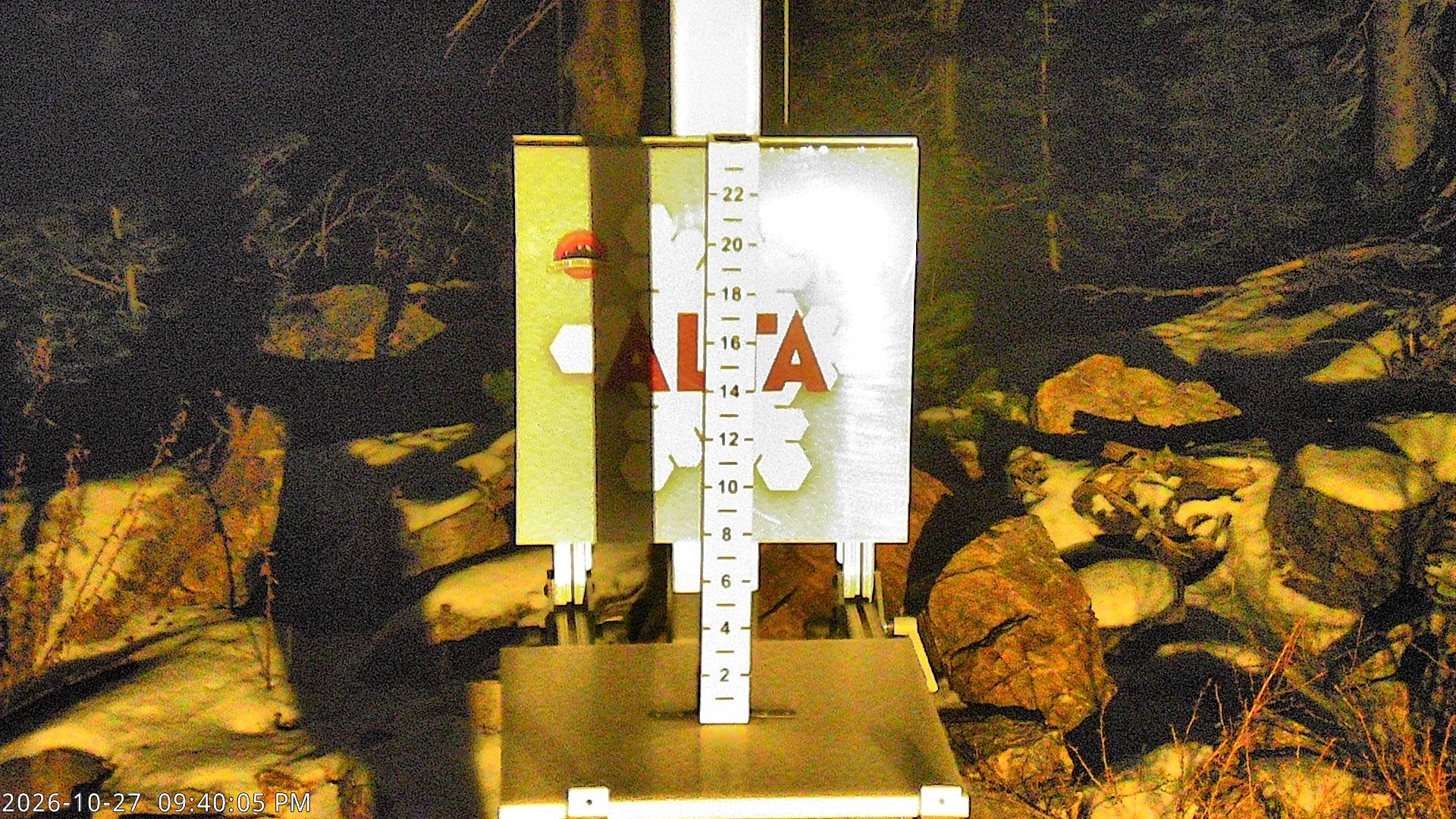 Alta Collins Snow Stake