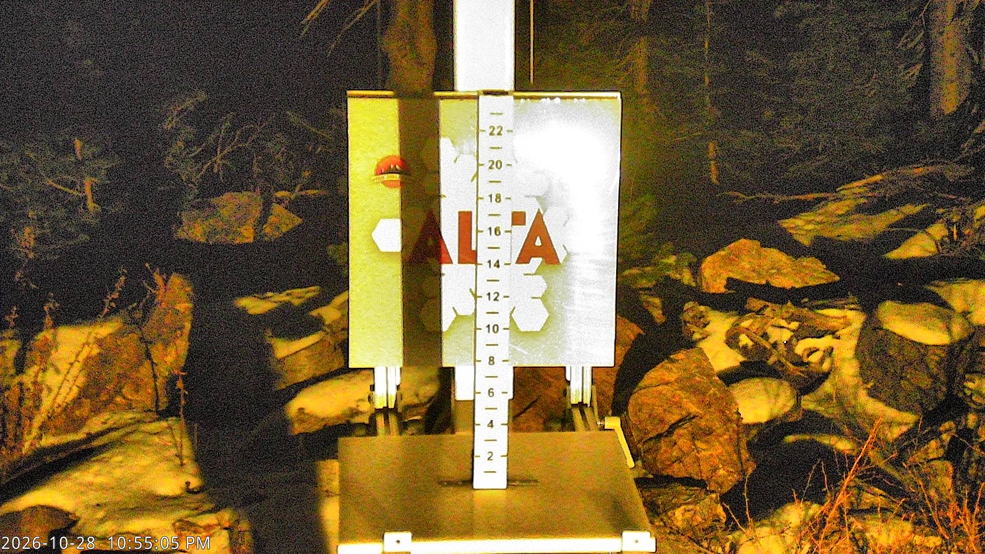 Alta Collins Snow Stake