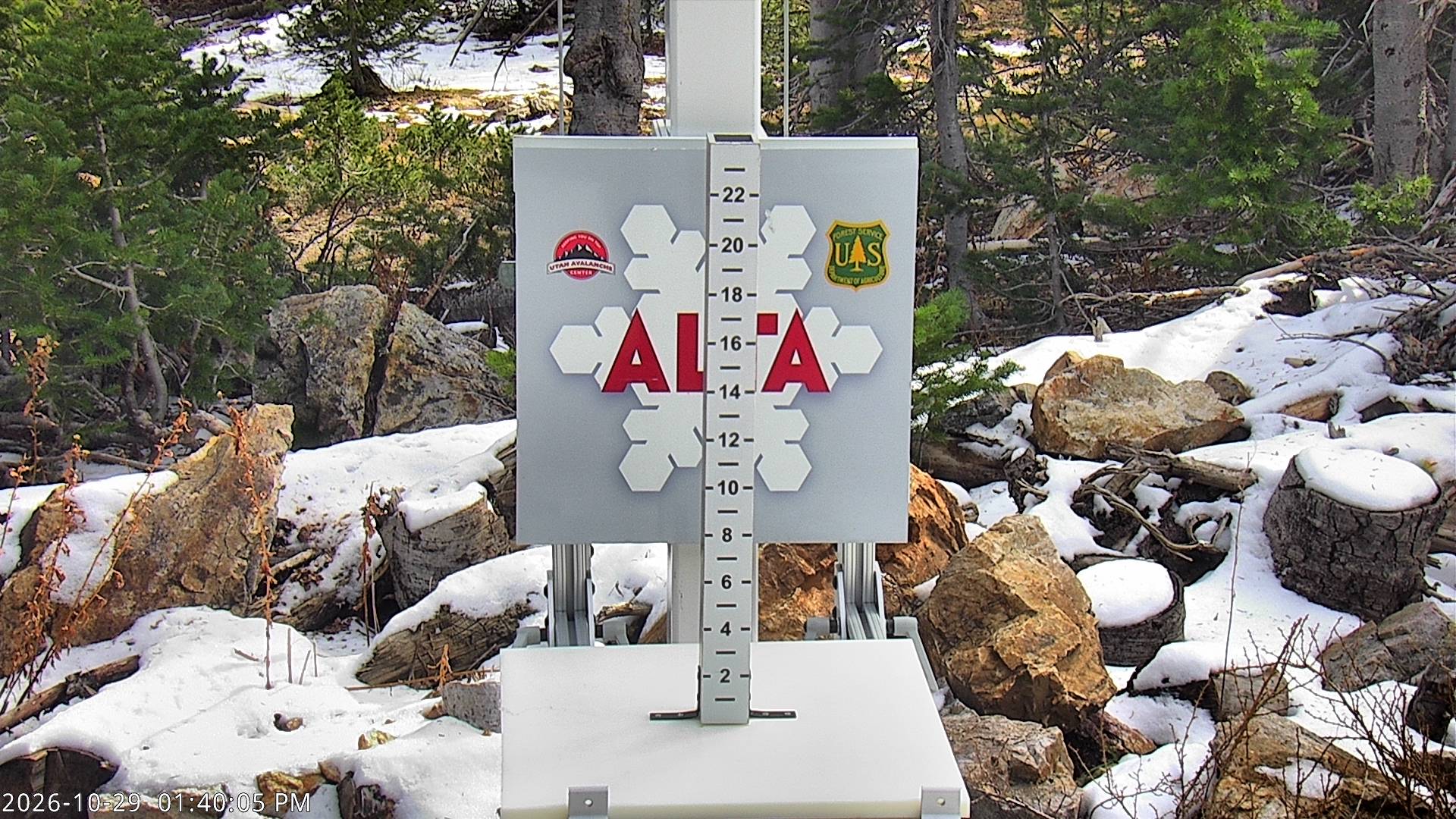Alta Collins Snow Stake