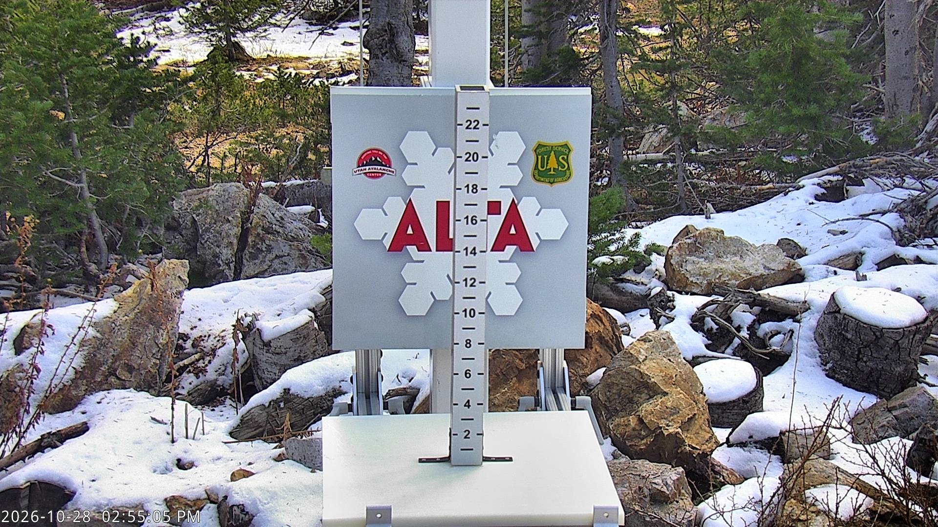 Alta Collins Snow Stake