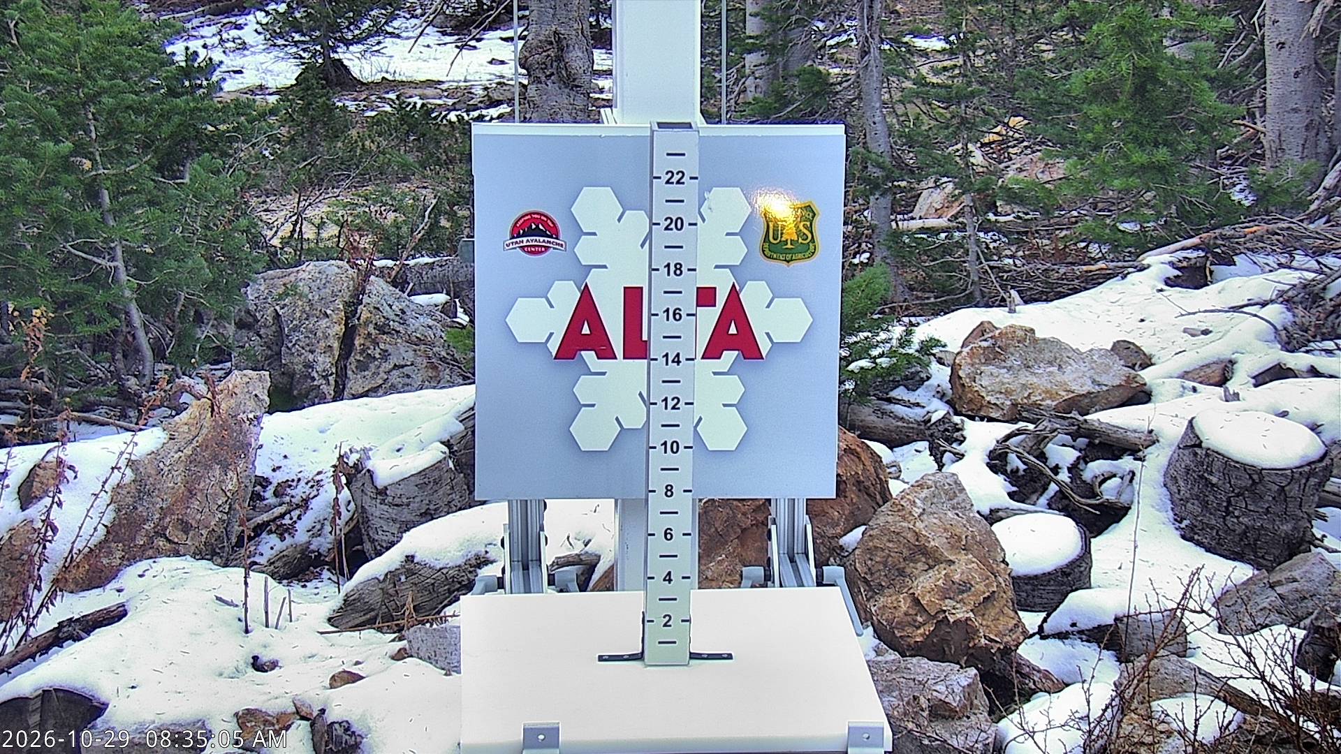 Alta Collins Snow Stake