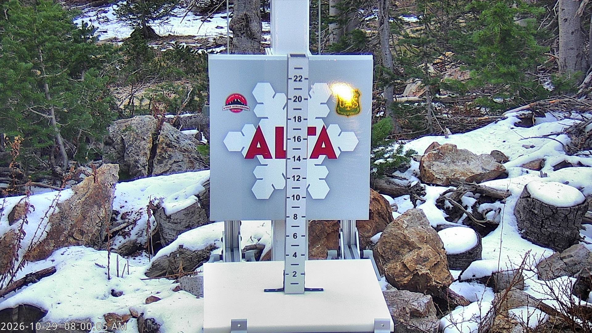 Alta Collins Snow Stake