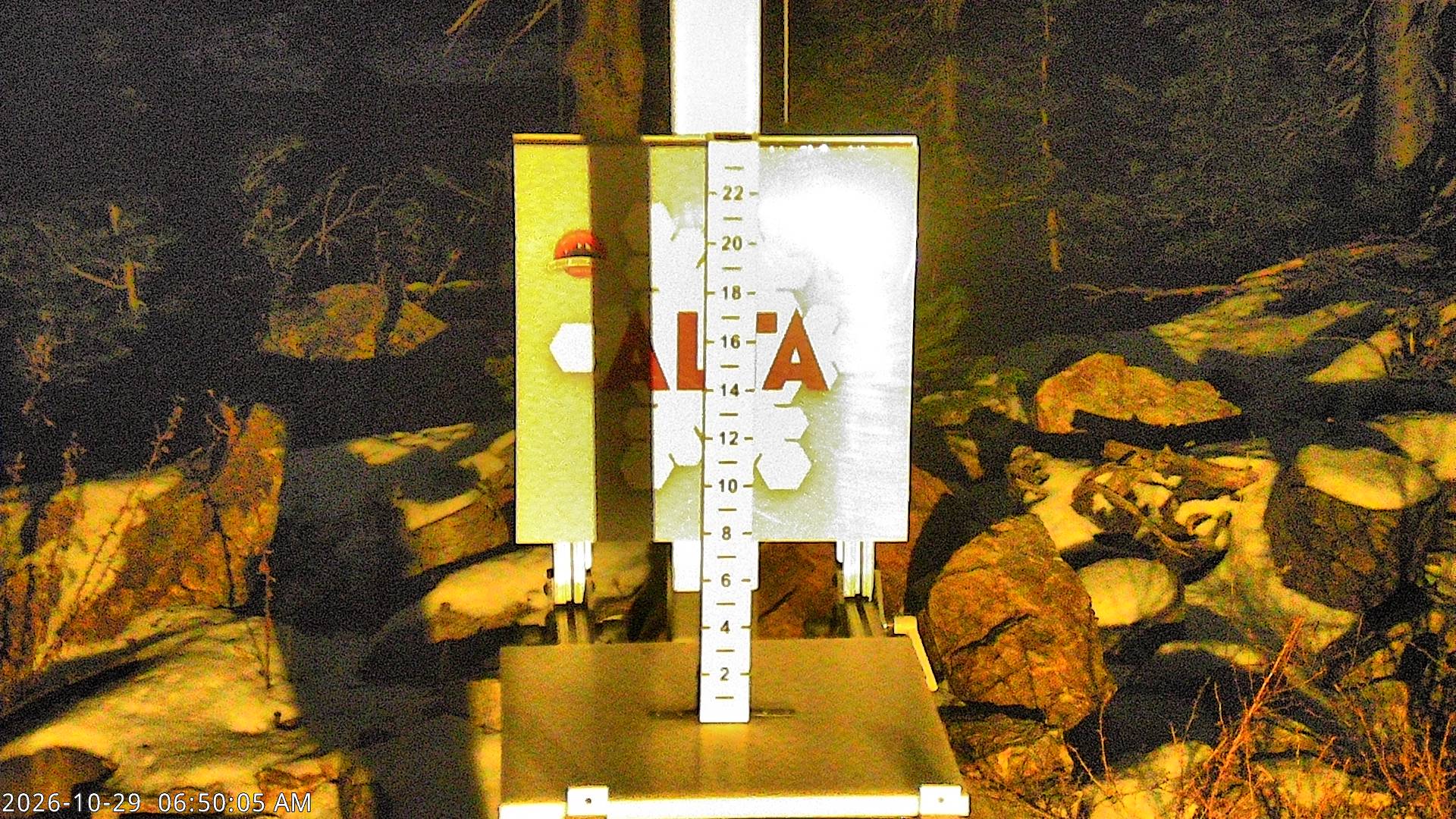 Alta Collins Snow Stake