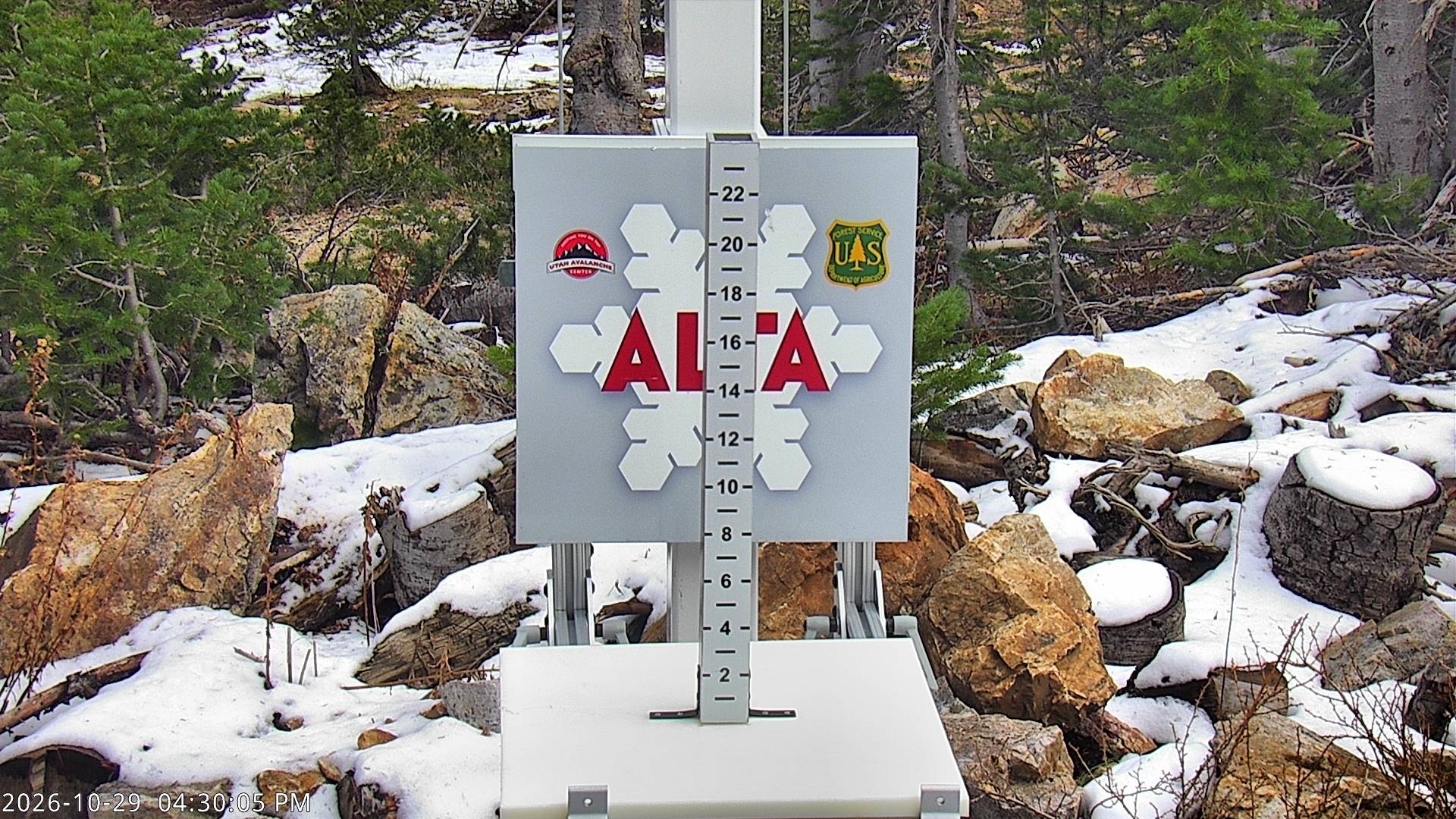 Alta Collins Snow Stake