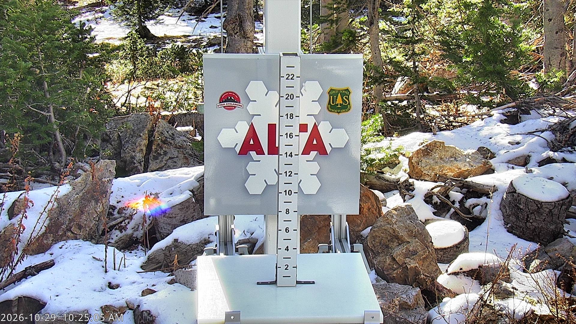 Alta Collins Snow Stake