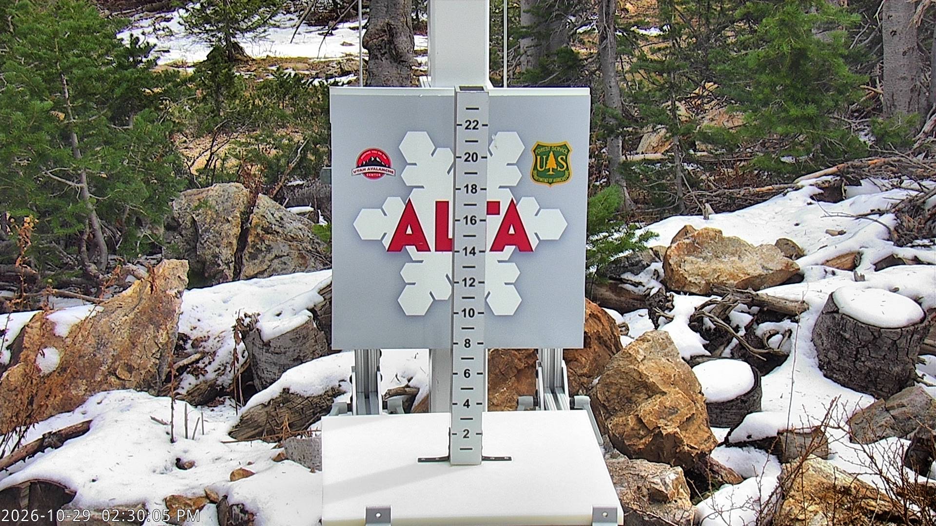 Alta Collins Snow Stake