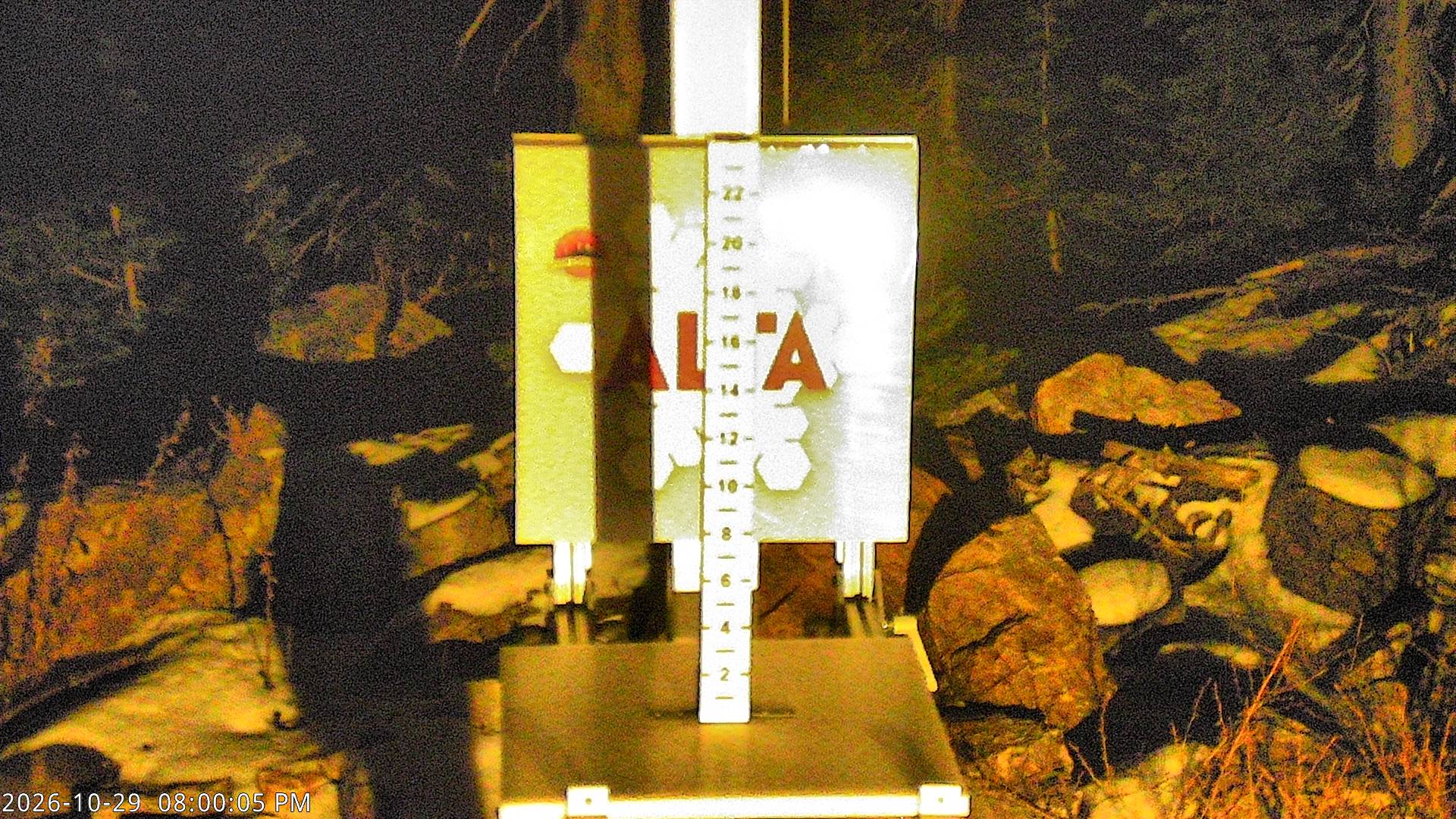 Alta Collins Snow Stake