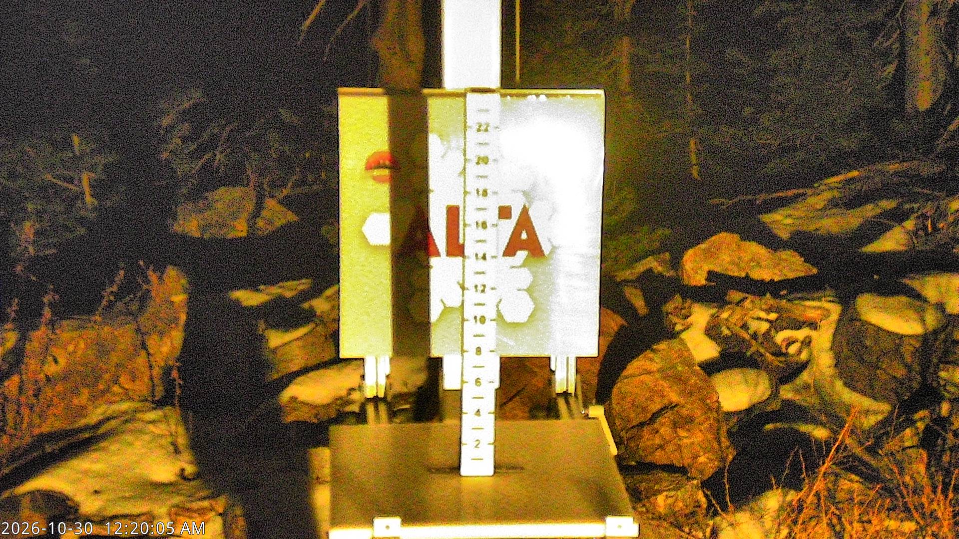 Alta Collins Snow Stake