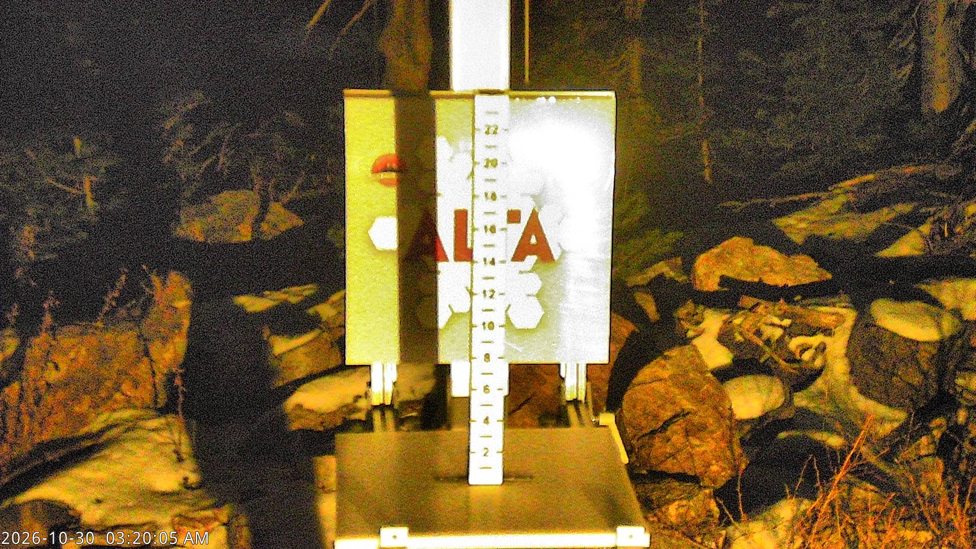 Alta Collins Snow Stake