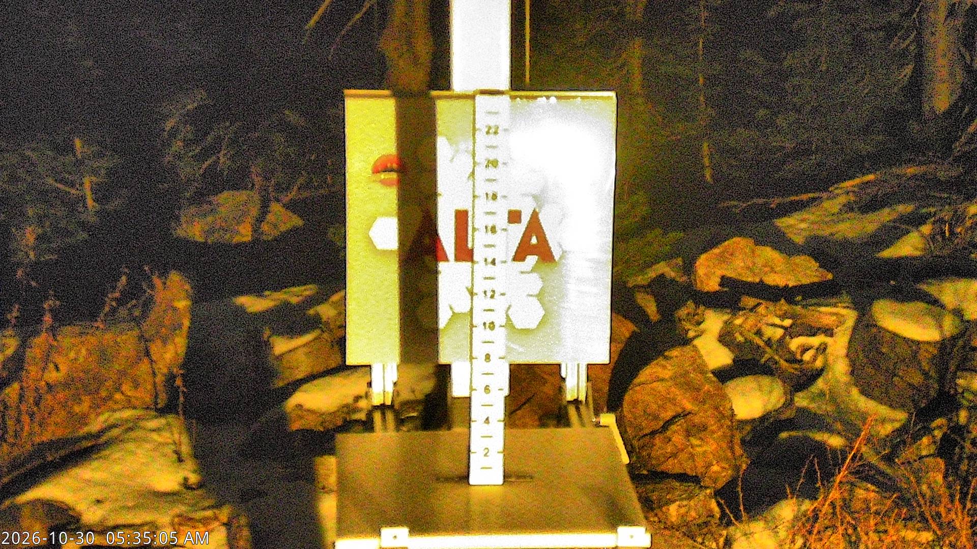 Alta Collins Snow Stake