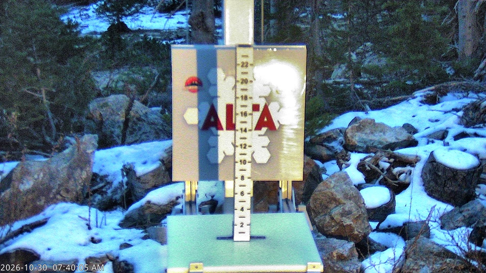 Alta Collins Snow Stake