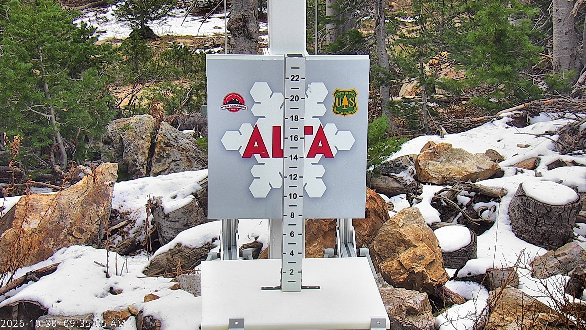 Alta Collins Snow Stake