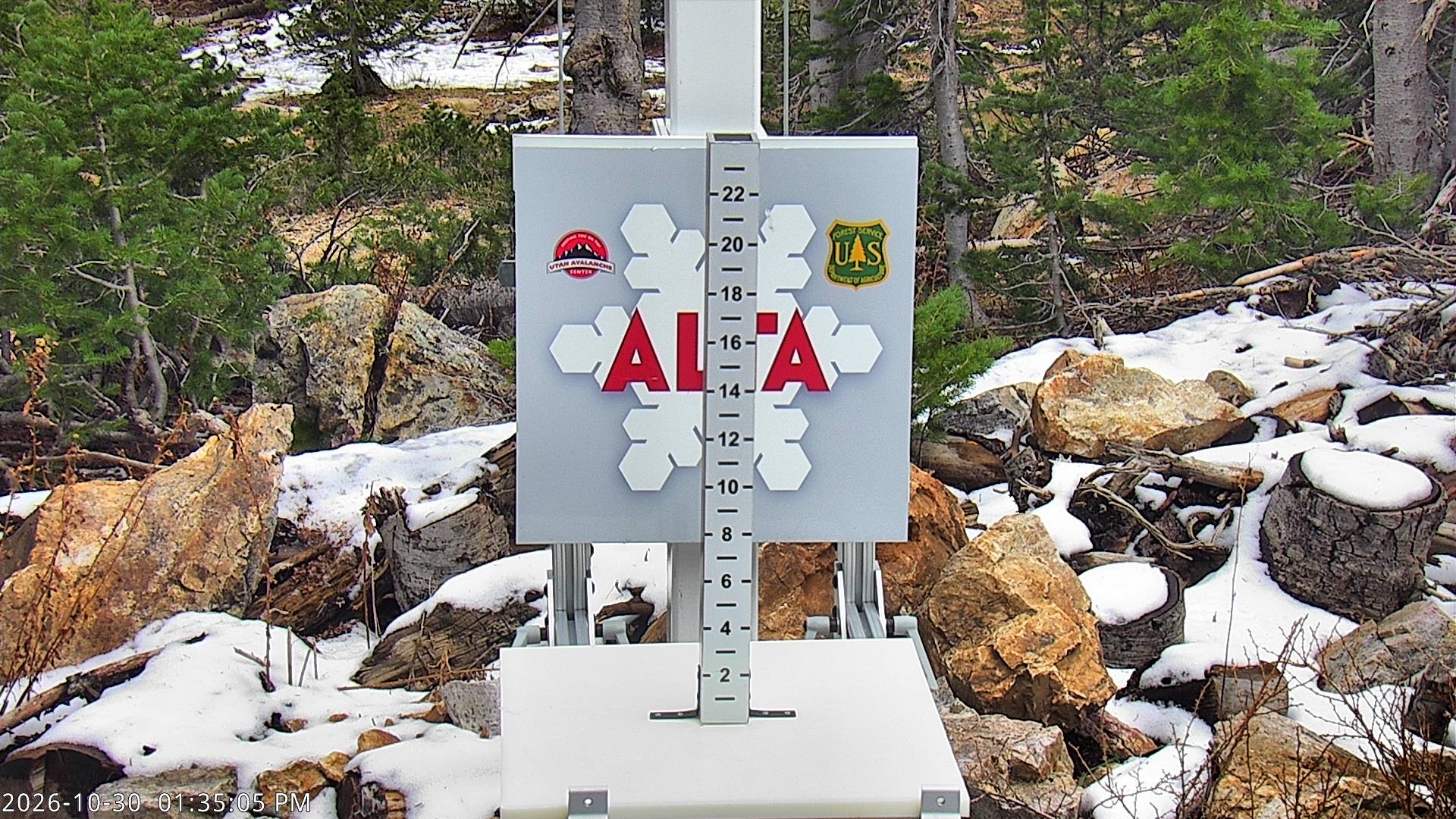 Alta Collins Snow Stake