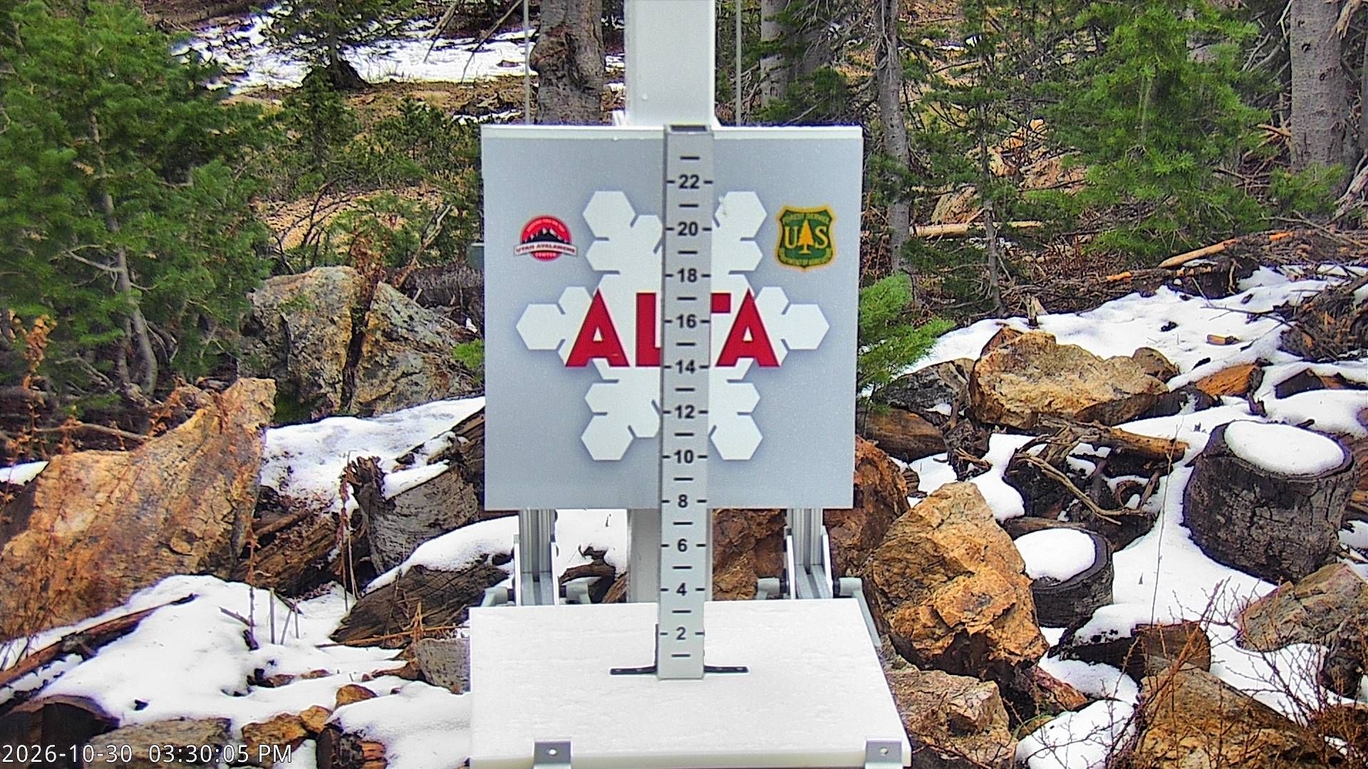 Alta Collins Snow Stake