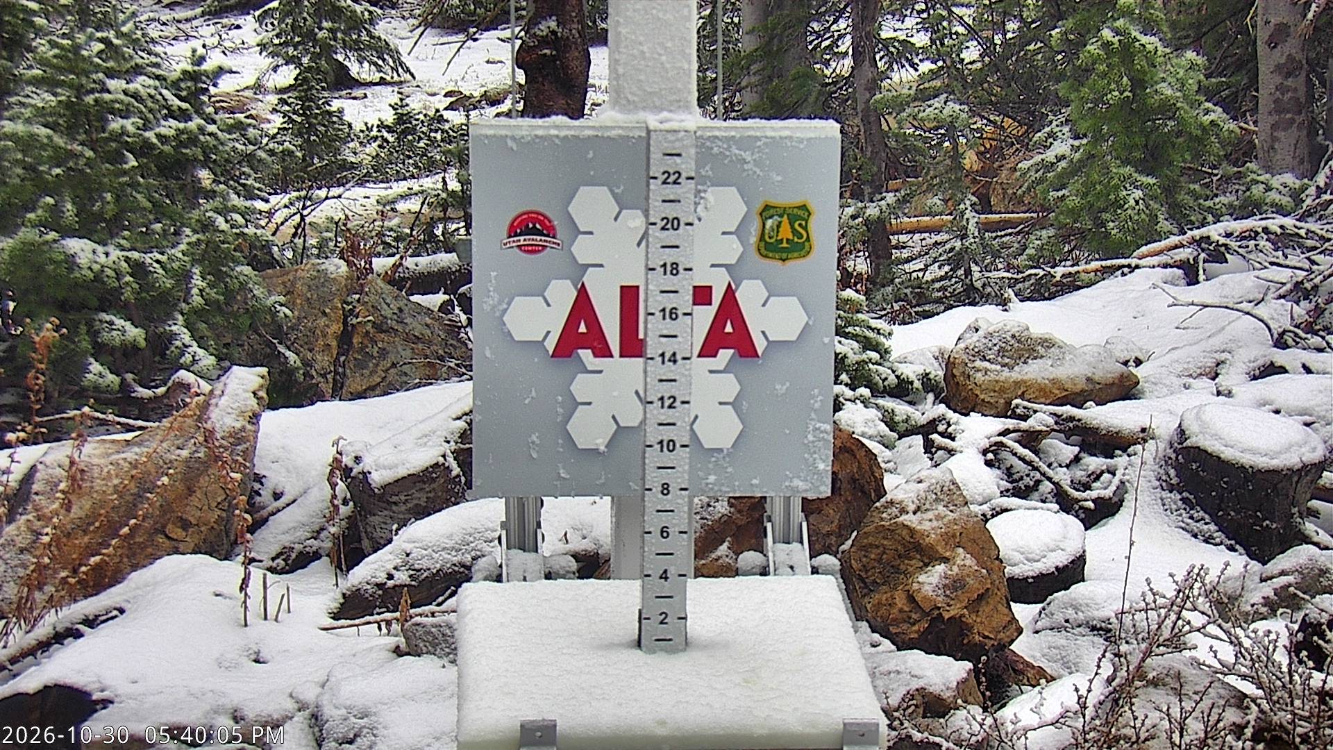 Alta Collins Snow Stake