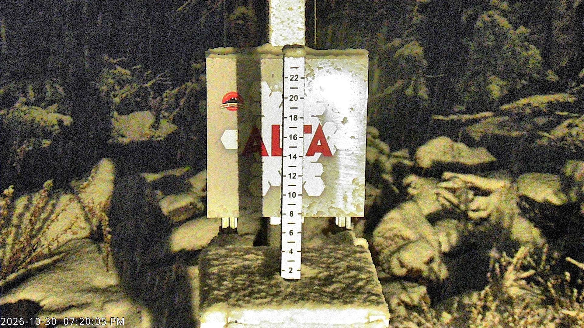 Alta Collins Snow Stake