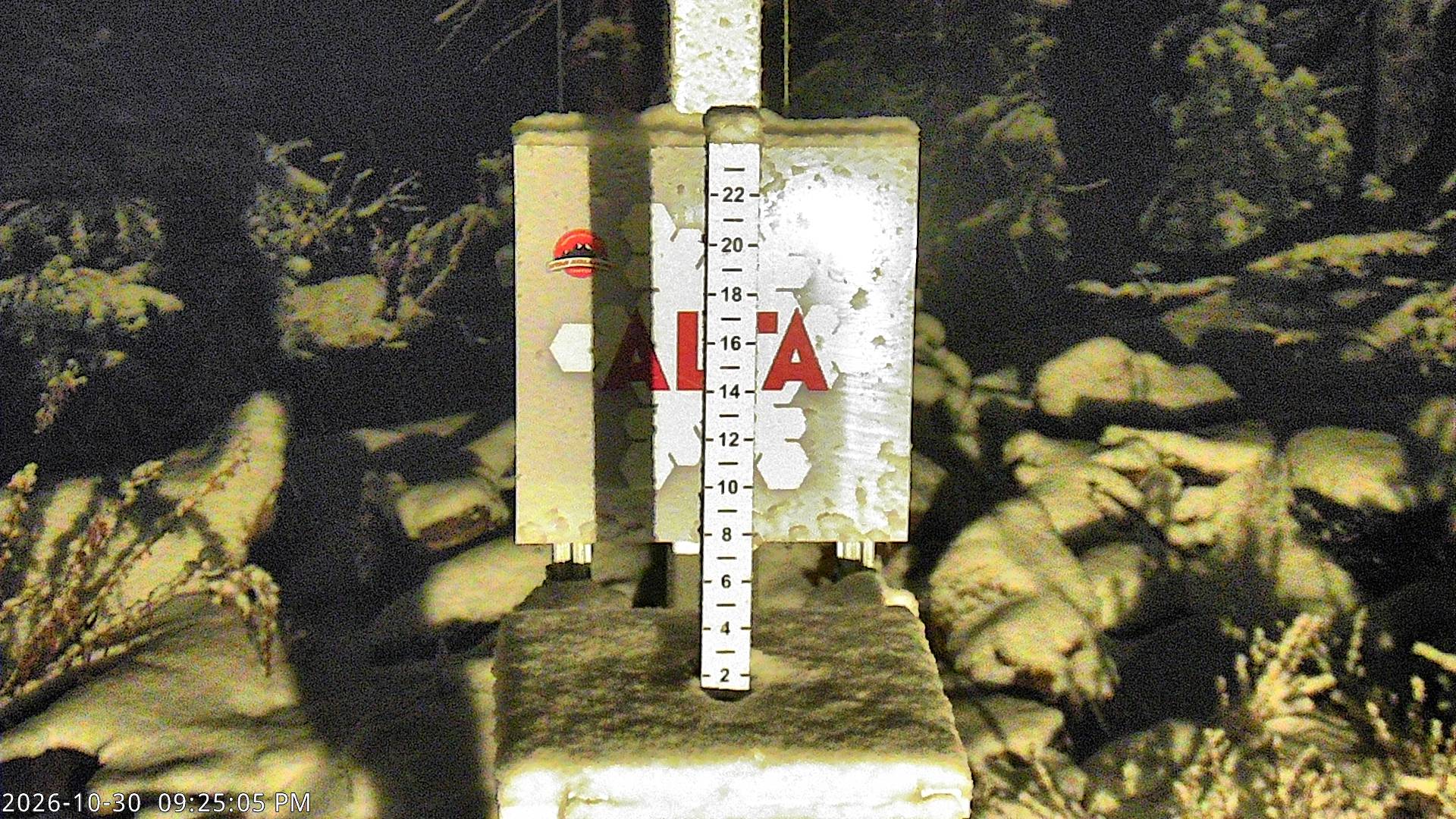 Alta Collins Snow Stake