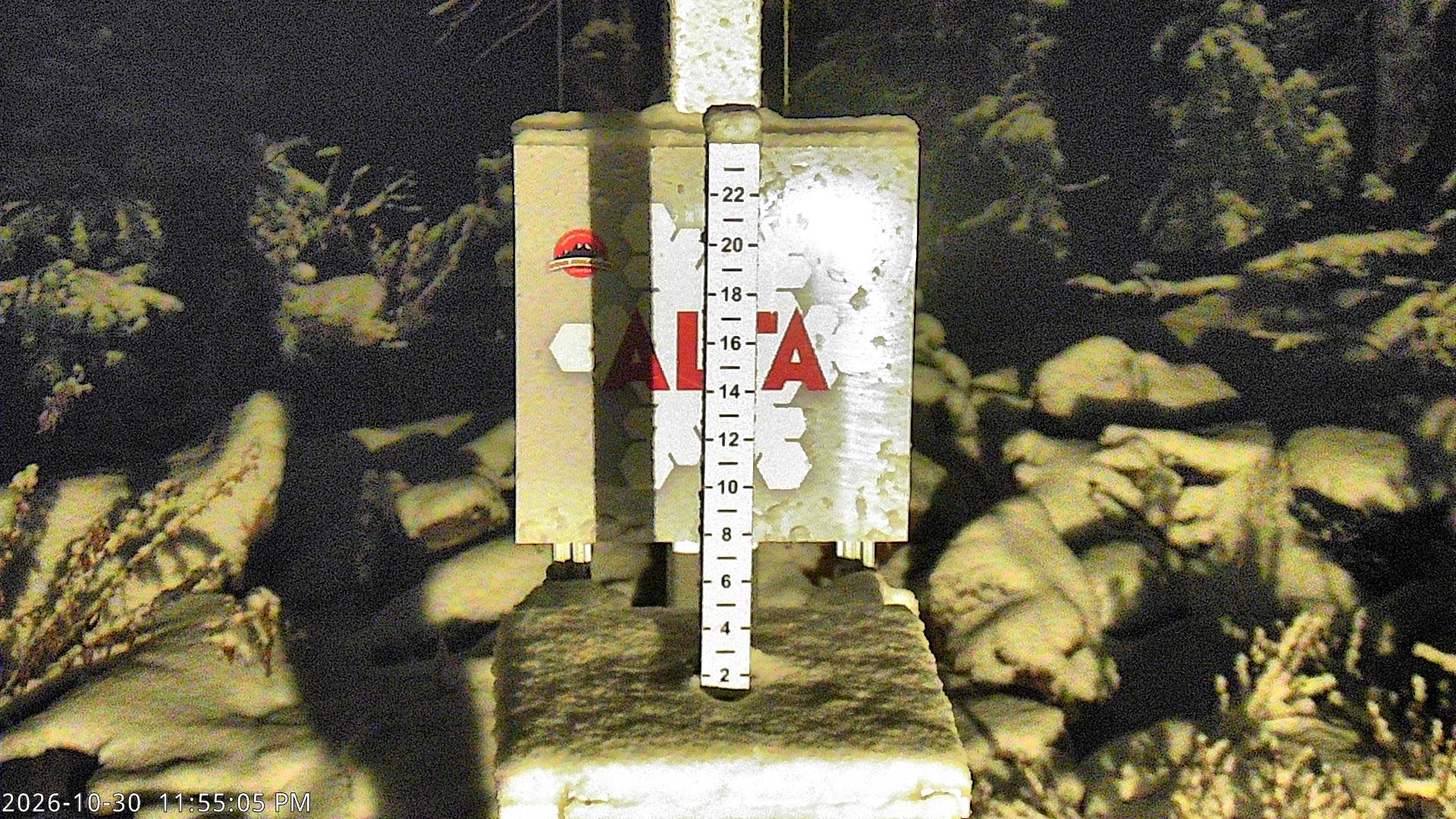 Alta Collins Snow Stake