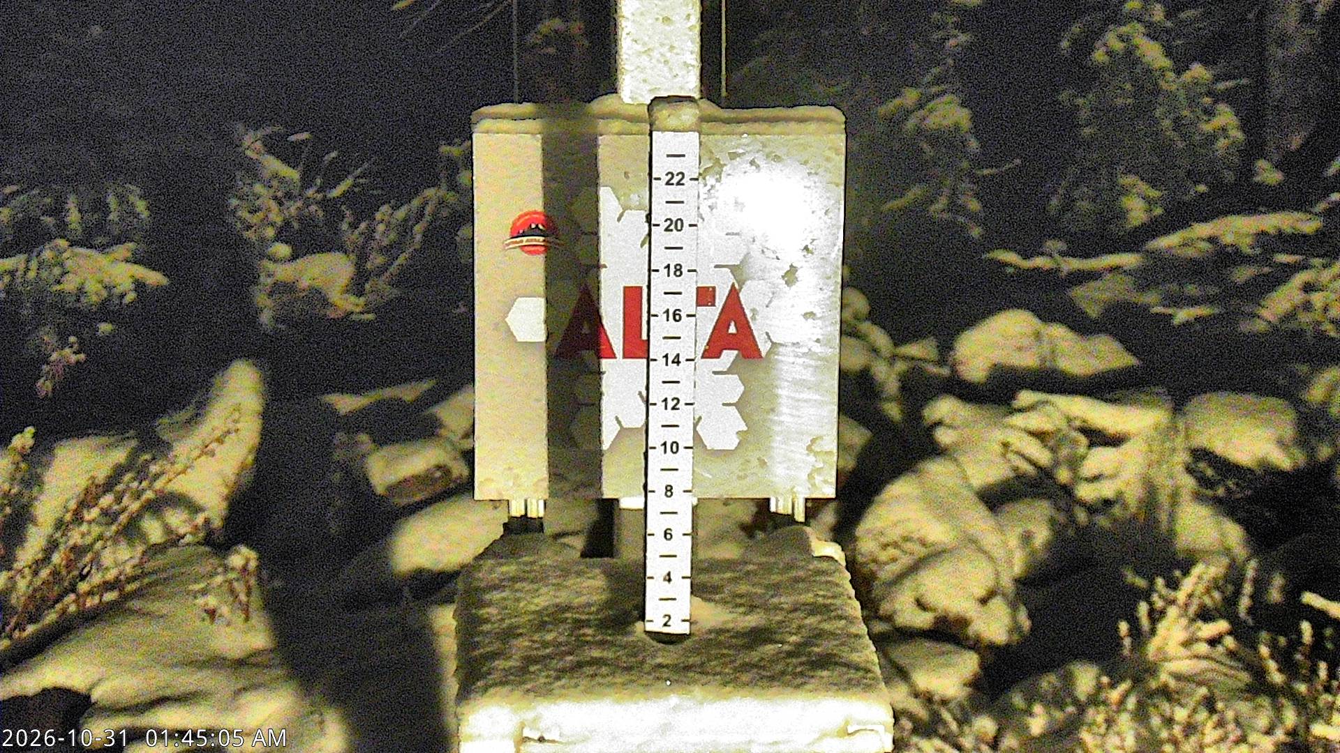 Alta Collins Snow Stake