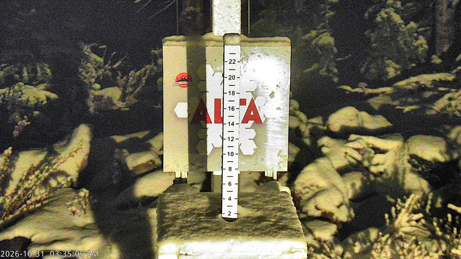 Alta Collins Snow Stake