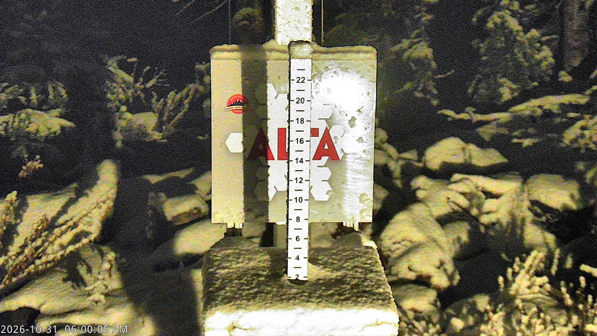 Alta Collins Snow Stake