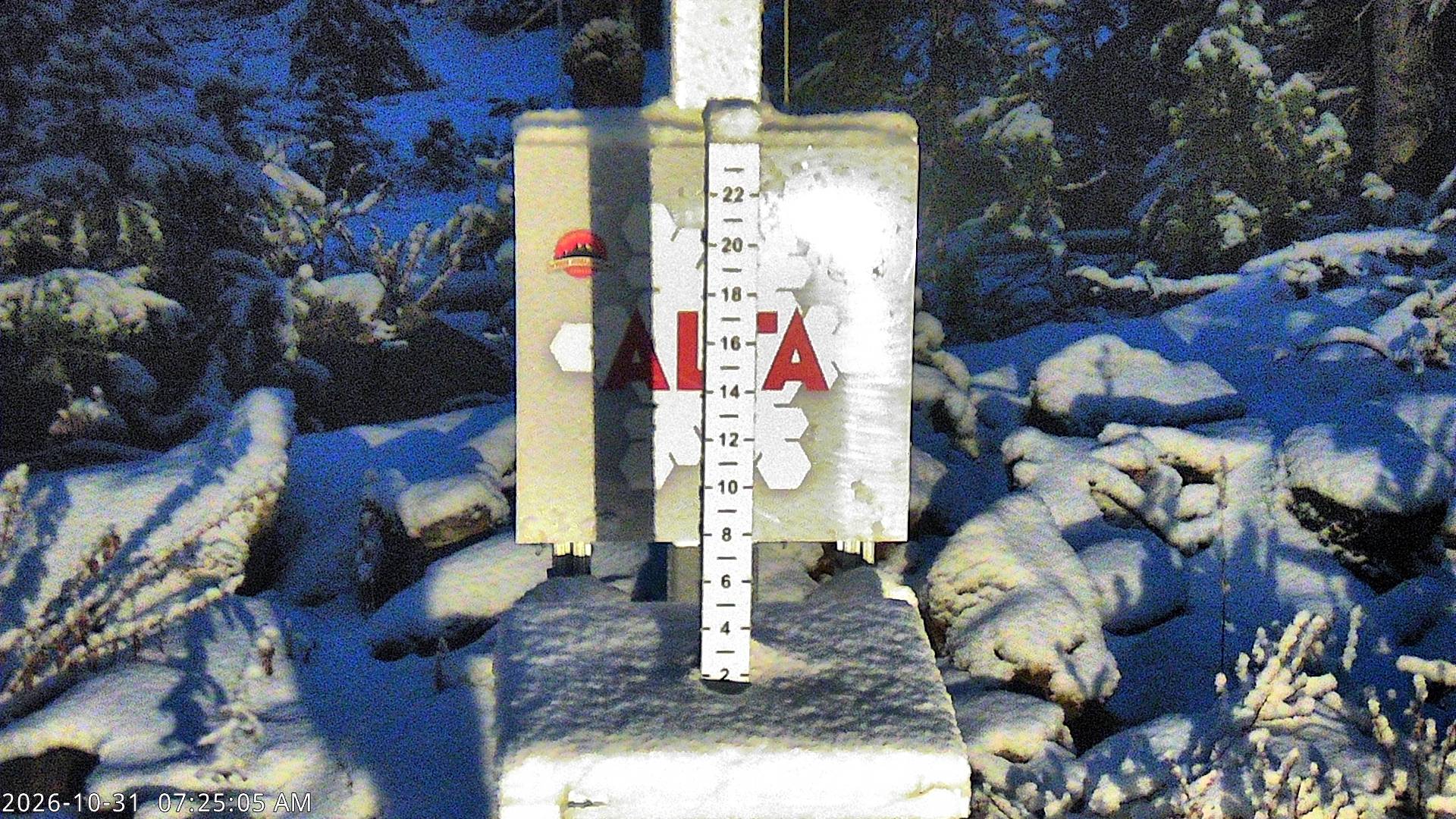 Alta Collins Snow Stake