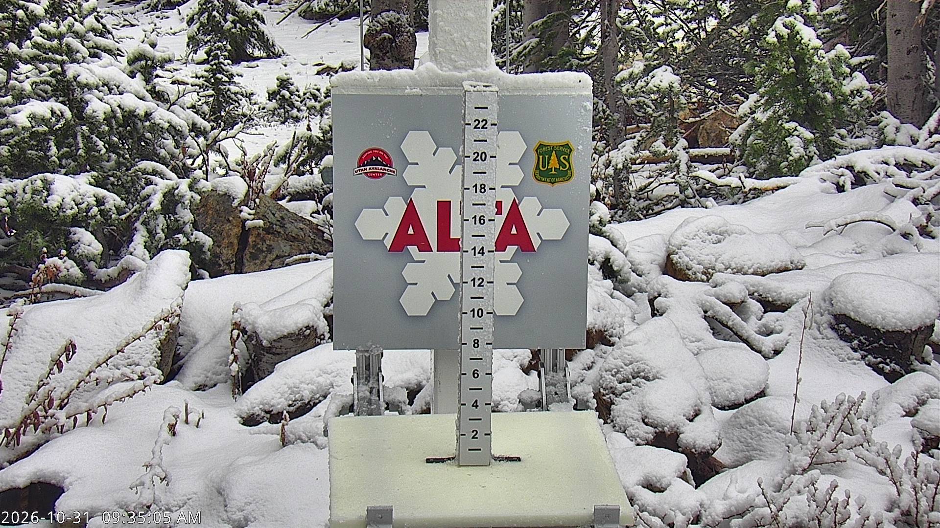 Alta Collins Snow Stake