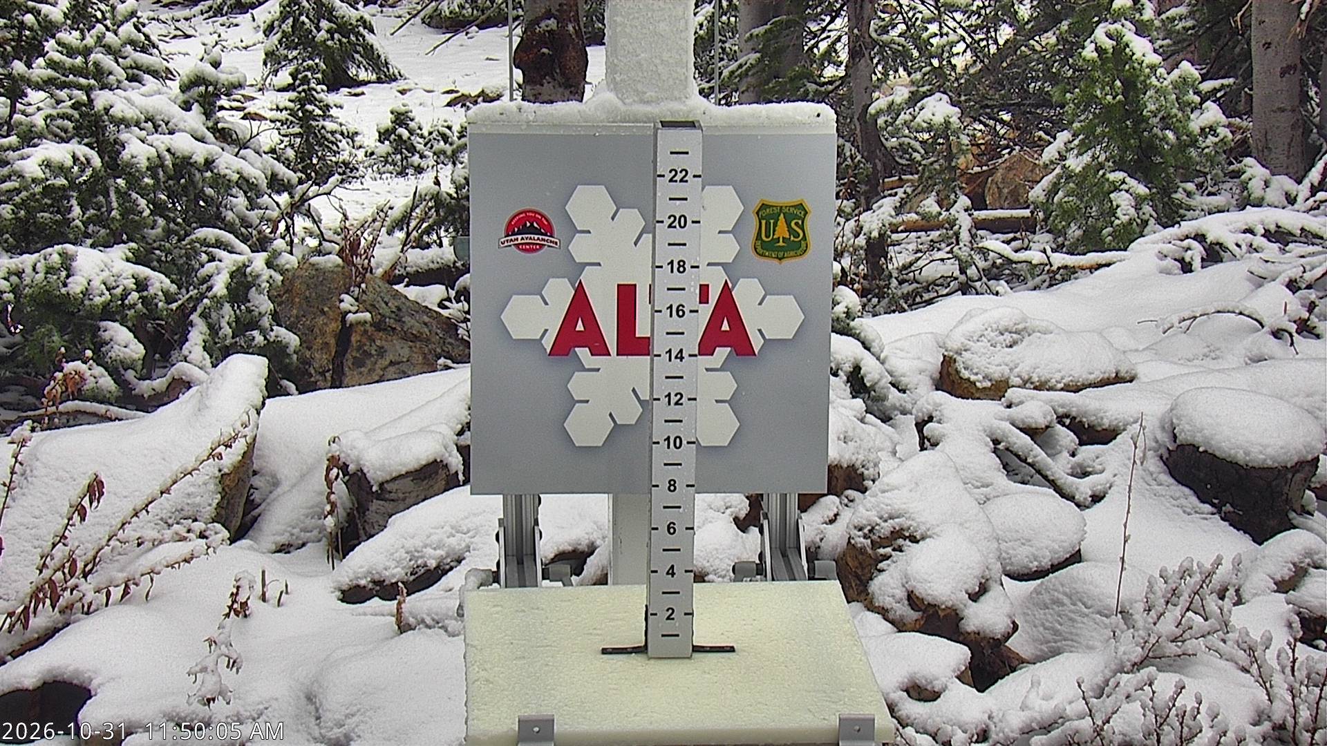 Alta Collins Snow Stake