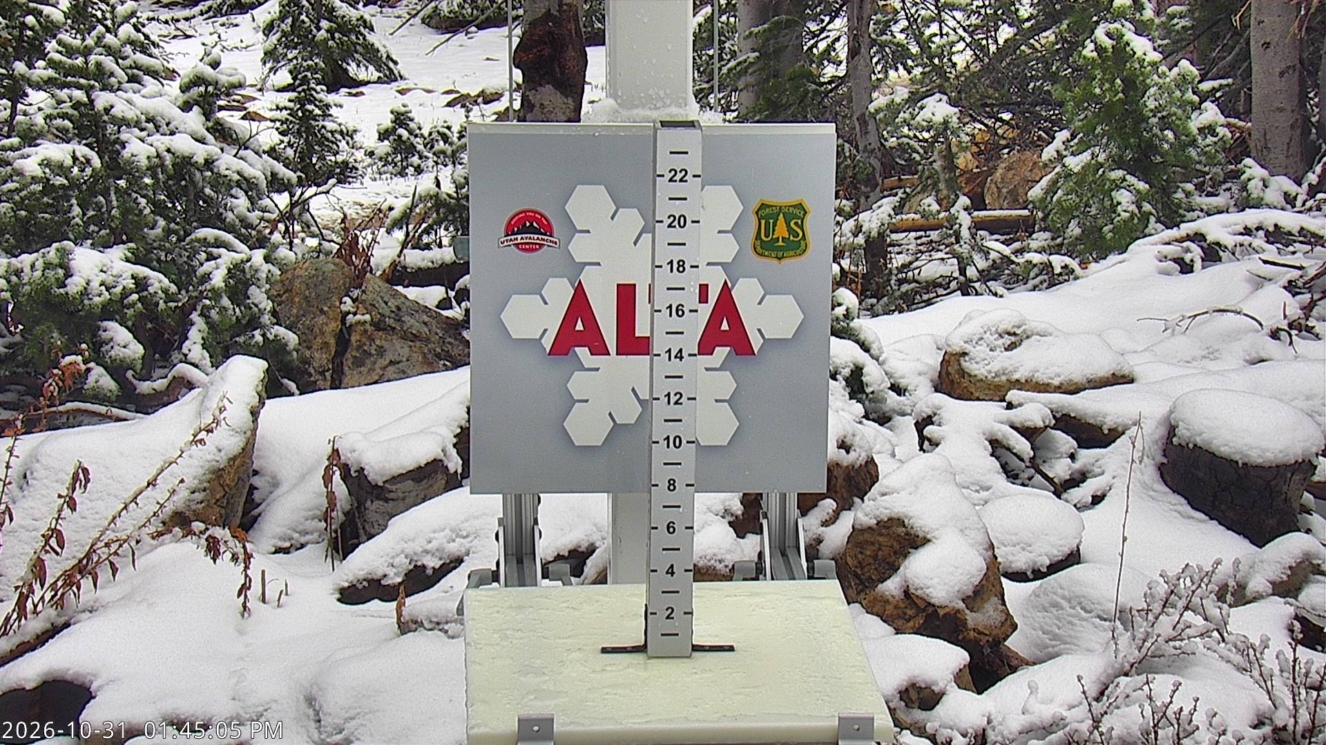 Alta Collins Snow Stake