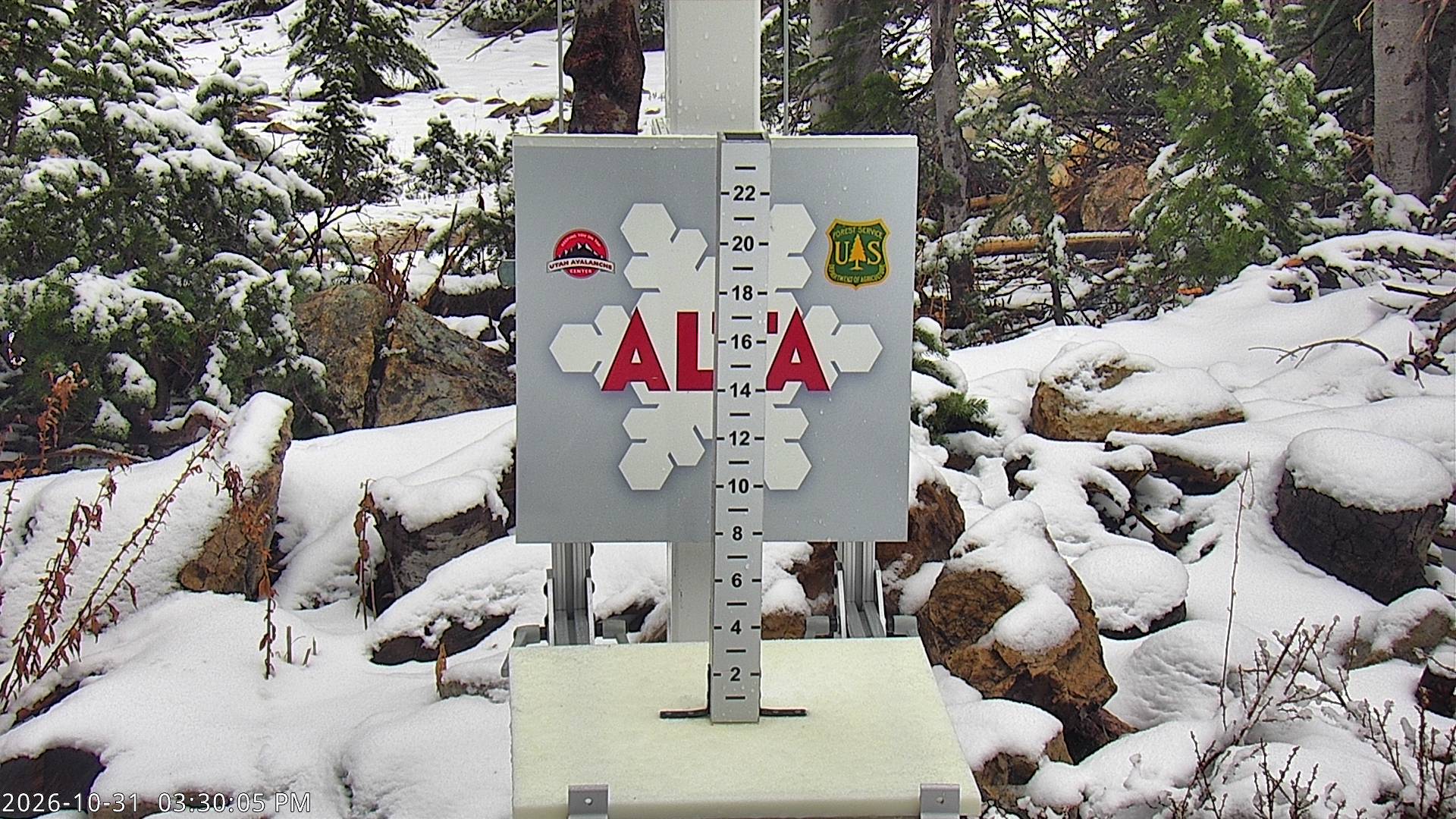 Alta Collins Snow Stake