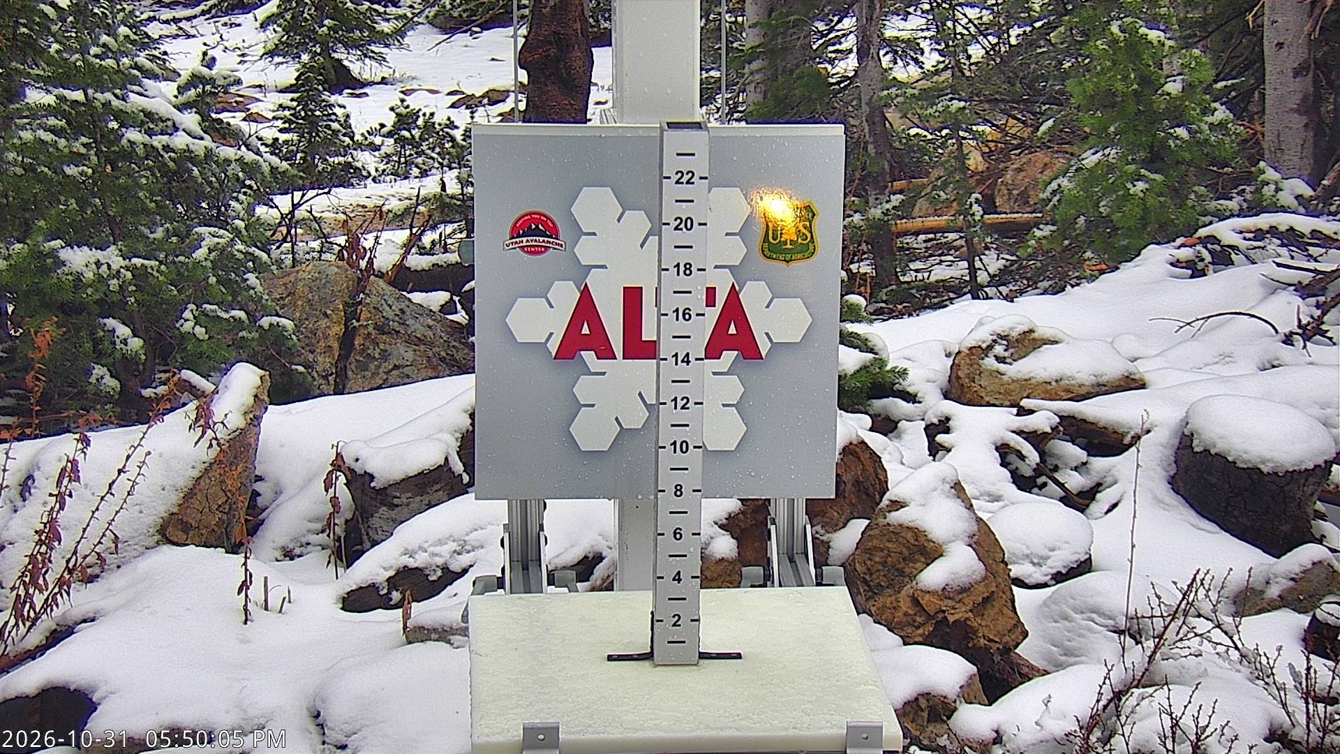Alta Collins Snow Stake