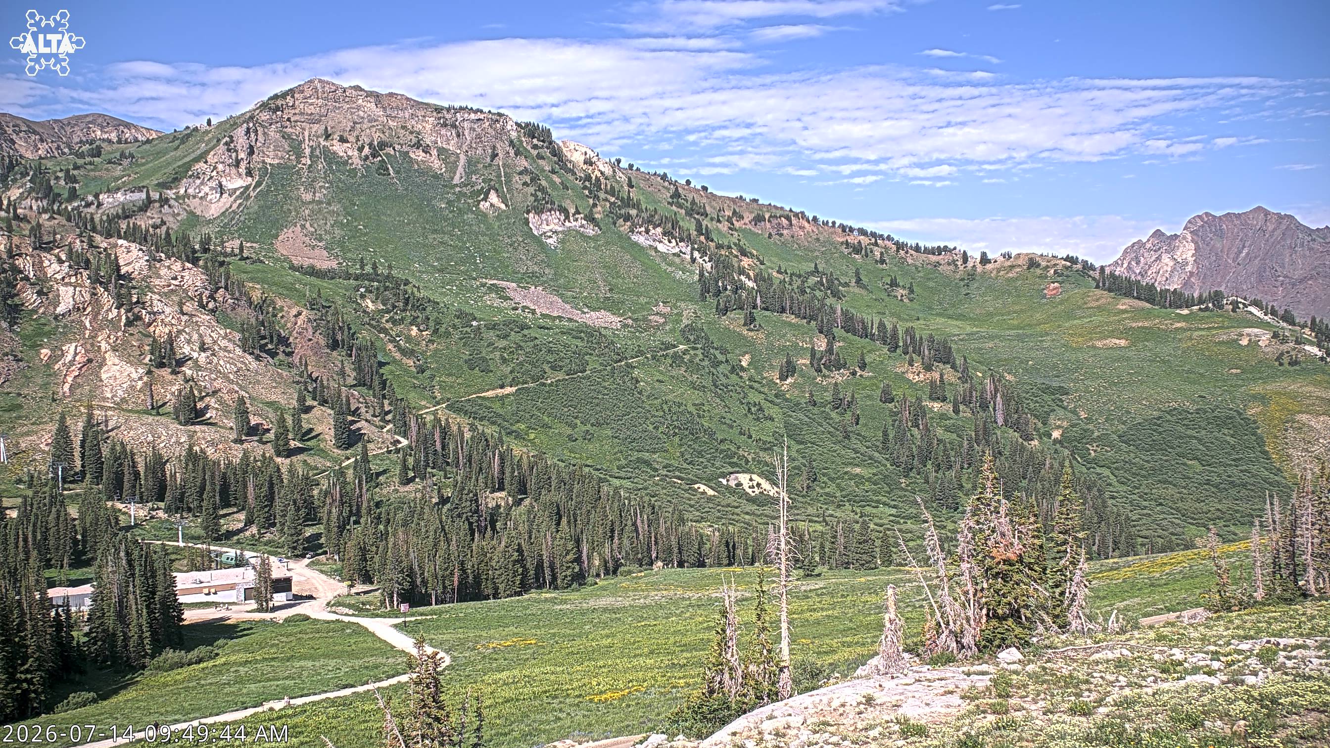 Alta - East Greeley